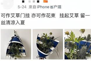 足协公布中乙联赛递补准入名单：广州影豹&大连华谊等5队在列